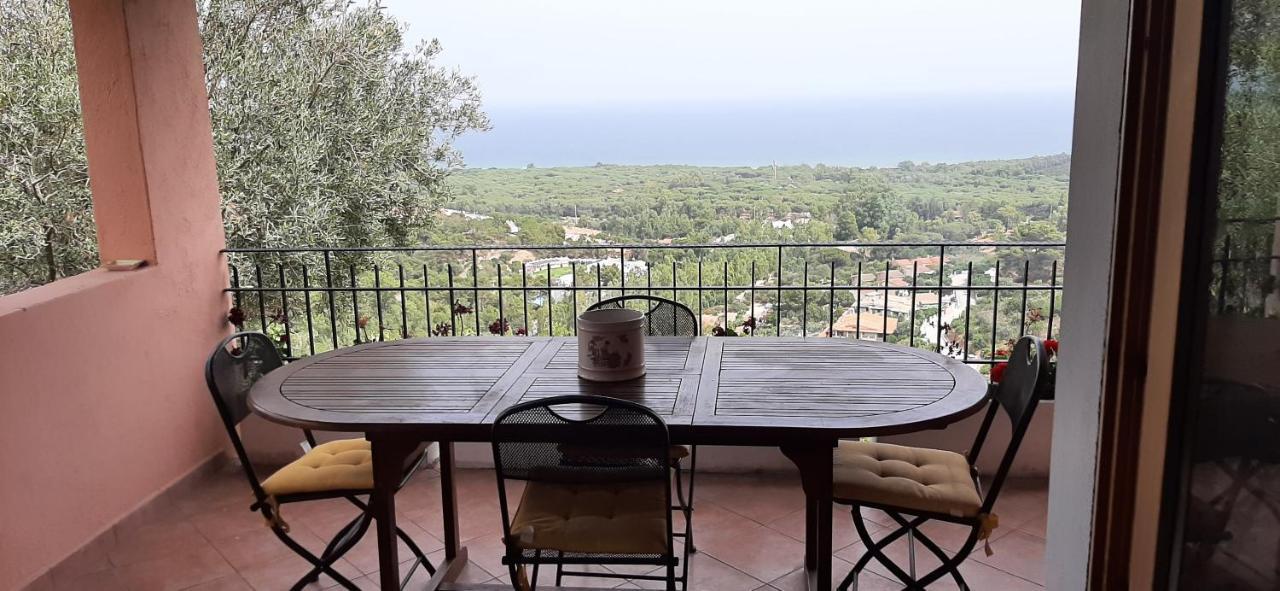Casa Grazia E Enrico Villa Chia Eksteriør billede